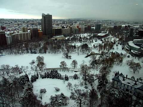 2012年1月2日中島公園全景