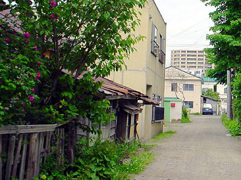 050608uramiti2.jpg