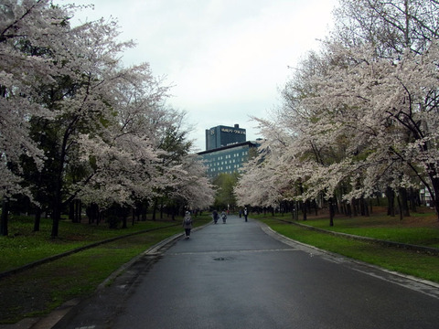 120505topark.jpg