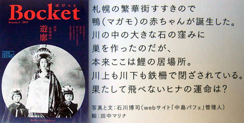 bocet4gou.jpg