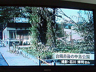 taifutikatetueki.jpg