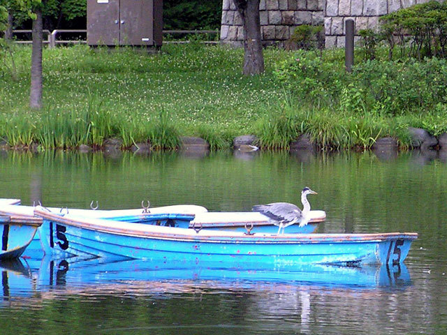 090716boat.jpg