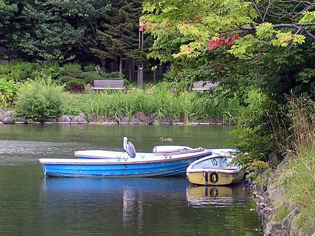 090820boat.jpg