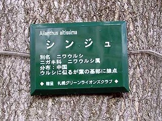 100921jumokumeiban.jpg
