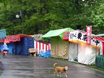 110614maturi9.jpg