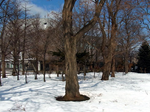 120401neake.jpg