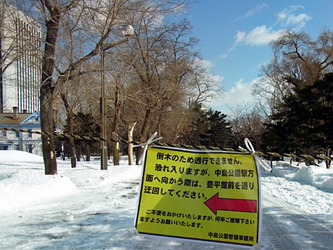 120405tukodome.jpg