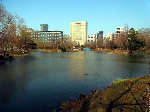 120421shoubuike.jpg