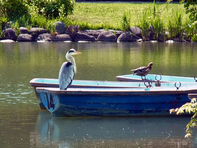 120603boat.jpg