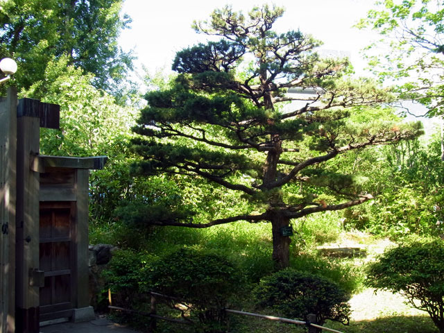 120612goyoumatu4.jpg