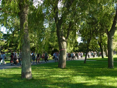 120920kitragaeri.jpg