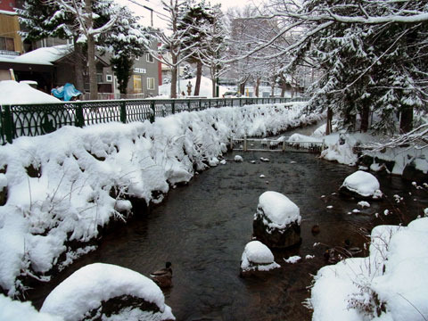 121211kamokamogawa.jpg