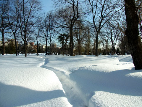 121229miti.jpg