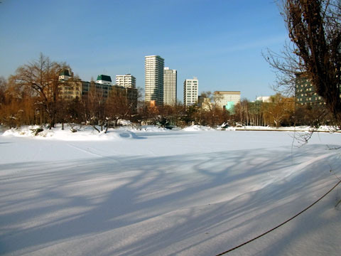 121229shobuike.jpg