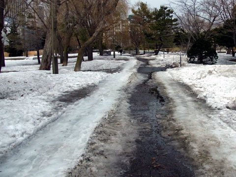 130408kitarayori.jpg