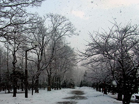 130411snow.jpg
