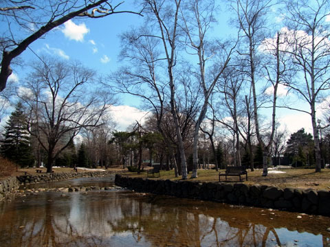 130420kamokamo.jpg