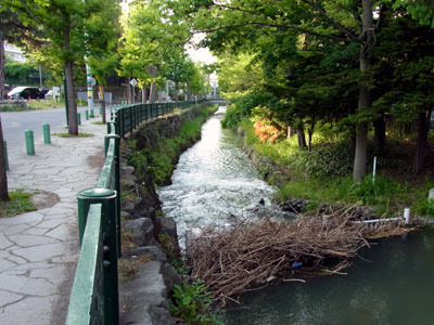 130608kamokamogawa.jpg