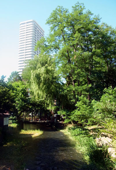 130804suitengu.jpg