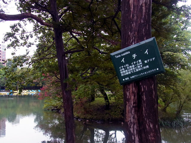 131001itii.jpg