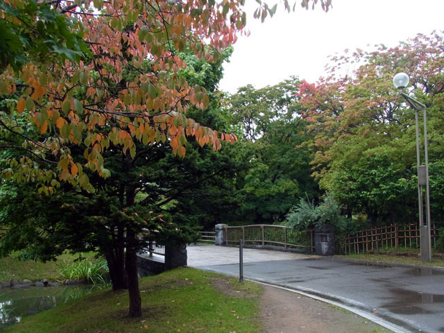 131001teienhasi.jpg