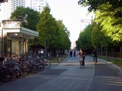131018icho.jpg