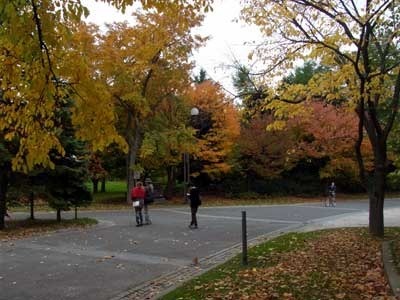 131024jiyuhirobayoko.jpg