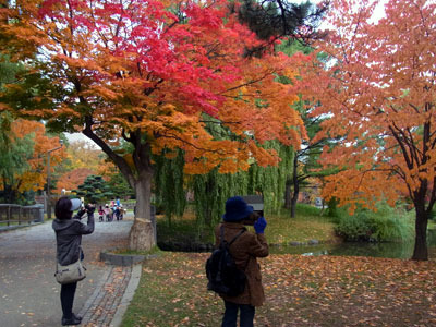 131030houheibasi.jpg