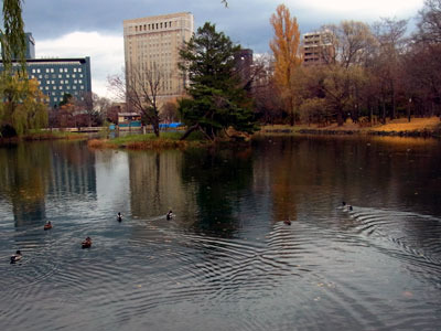 131115shoubuike.jpg