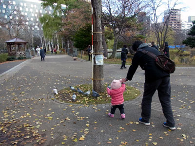 131124hato.jpg