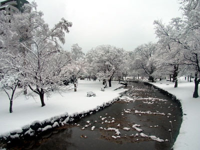 131128kamokamo.jpg