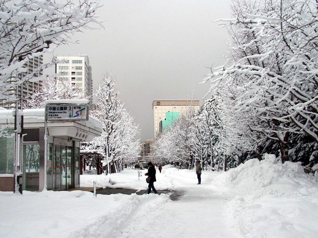 140102namiki.jpg