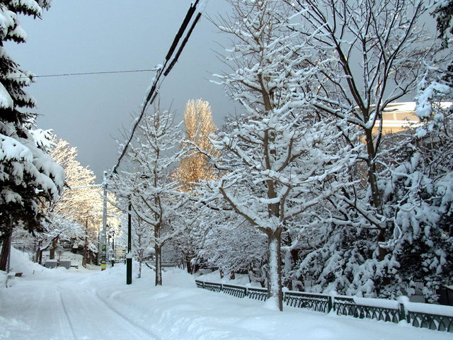 140102sanpomiti.jpg