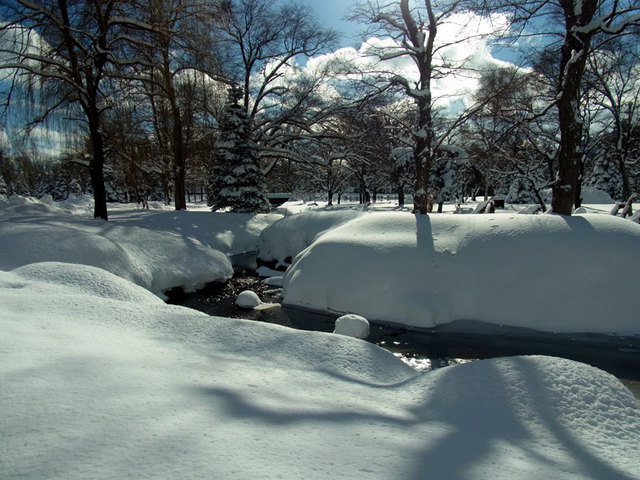 140105kamokamogawa.jpg