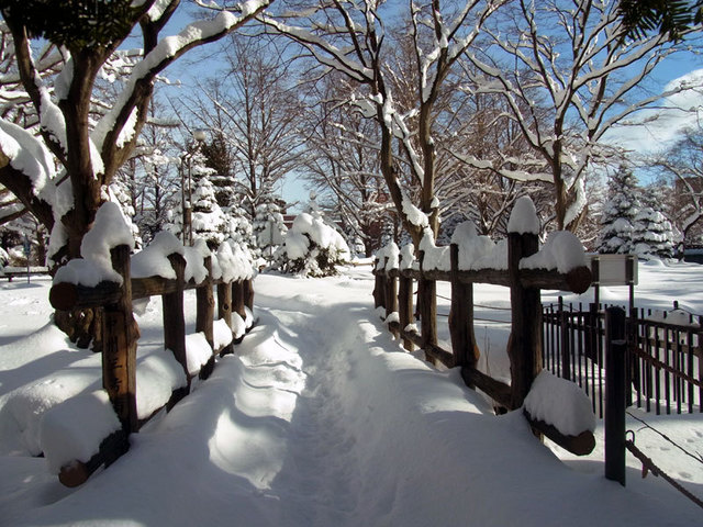 140105nakasubasi.jpg
