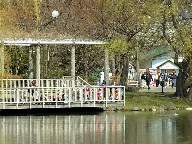 140424deck.jpg