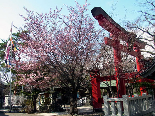 140428iyahikojinja.jpg