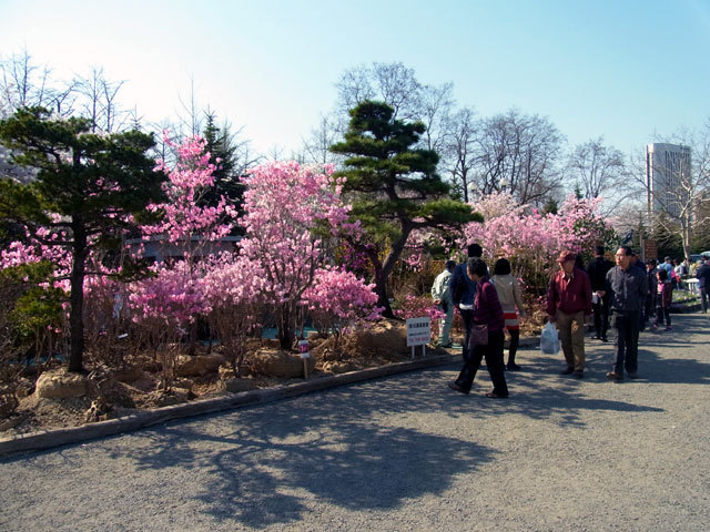 140504engeiiti1.jpg