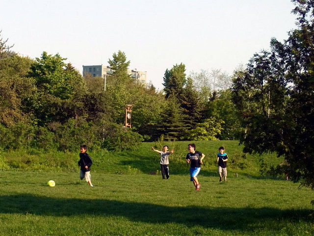 140528sakka.jpg