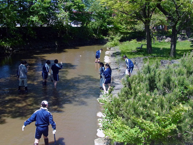 140601seisou13.jpg