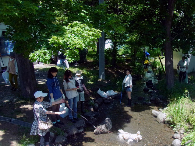 140601seisou17.jpg