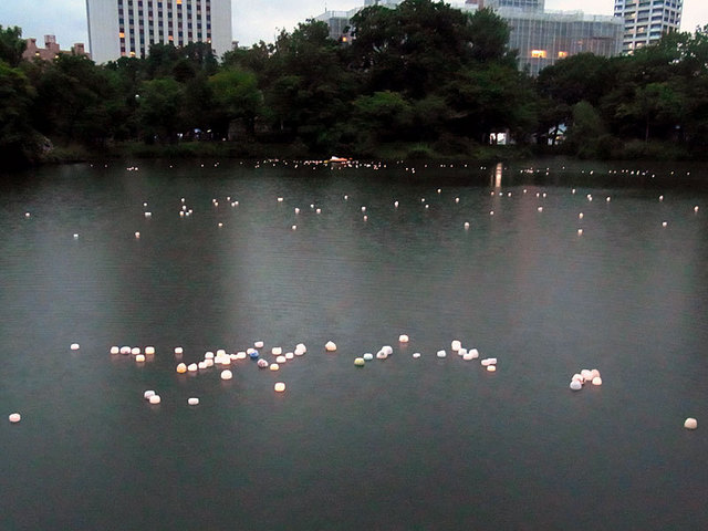 140807hotaru5.jpg