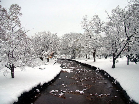 141115kamokamogawa.jpg