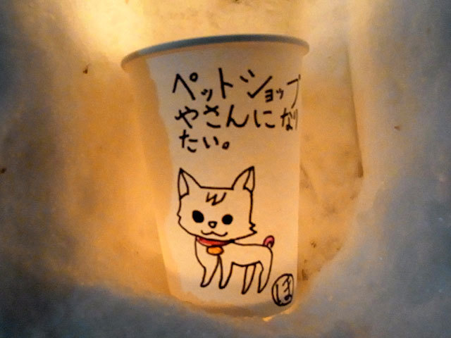 150206akari2.jpg