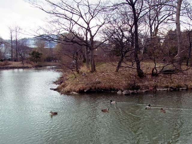 150409kitajima.jpg