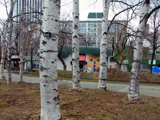 150409kogumaza.jpg
