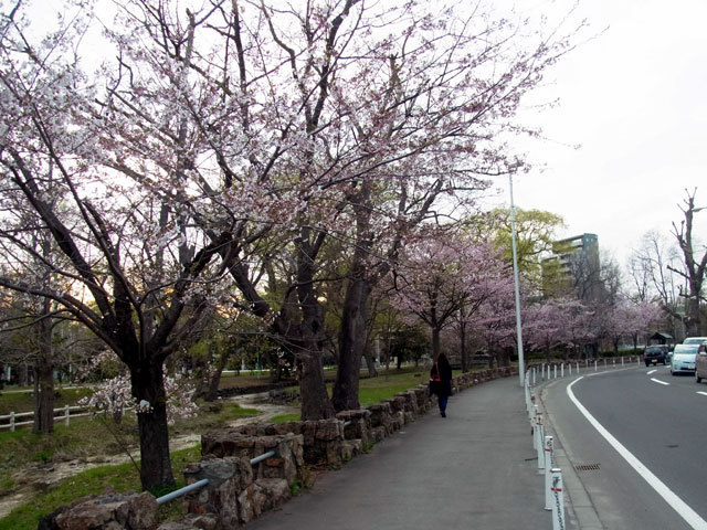 150426gyoukei2.jpg