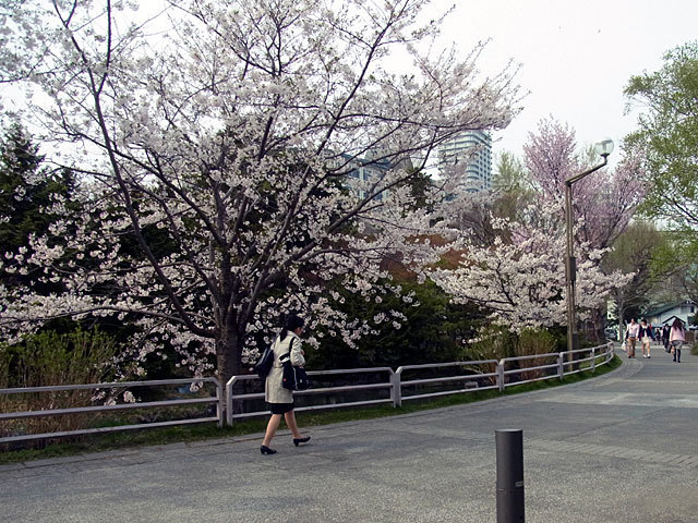 150428enro.jpg