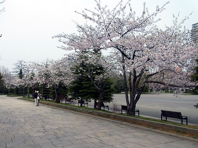 150428jiyuhiroba.jpg