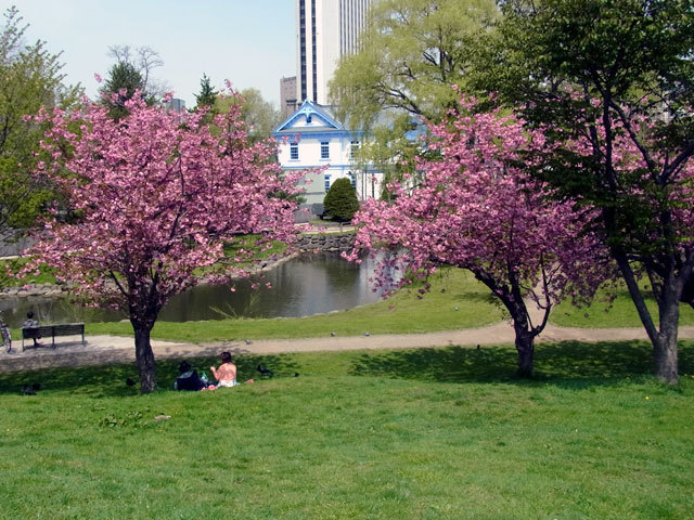 150505tenmonh.jpg